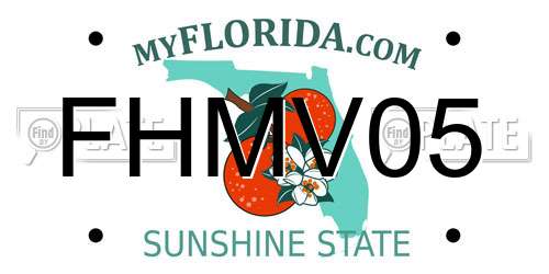 FHMV05 Florida License Plate