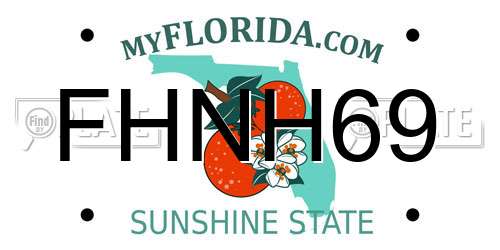 FHNH69 Florida License Plate