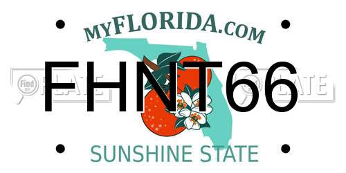 FHNT66 Florida License Plate