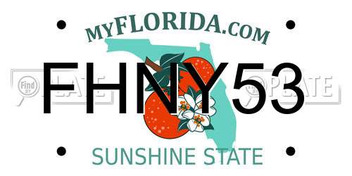 FHNY53 Florida License Plate