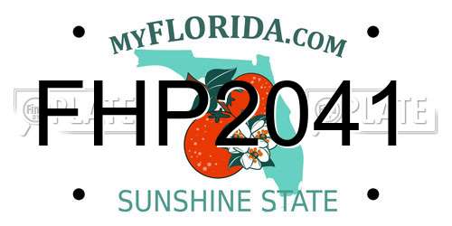 FHP2041 Florida License Plate