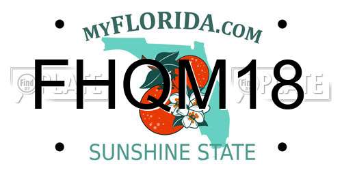 FHQM18 Florida License Plate