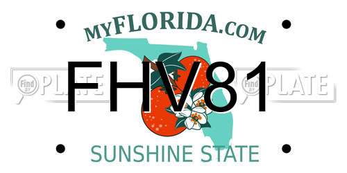 FHV81 Florida License Plate