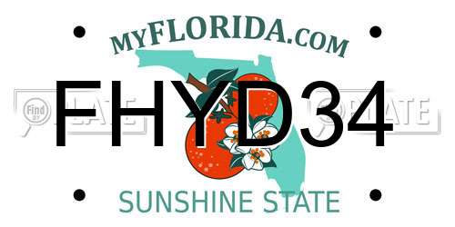 FHYD34 Florida License Plate