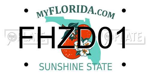 FHZD01 Florida License Plate