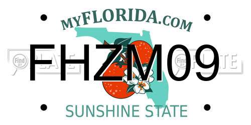 FHZM09 Florida License Plate