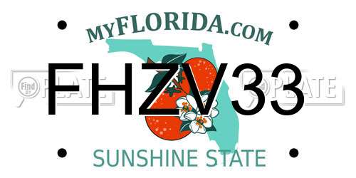 FHZV33 Florida License Plate