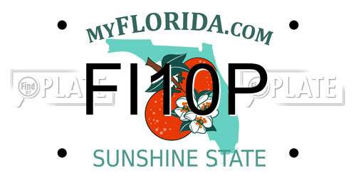 FI10P Florida License Plate