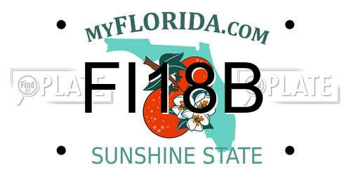 FI18B Florida License Plate