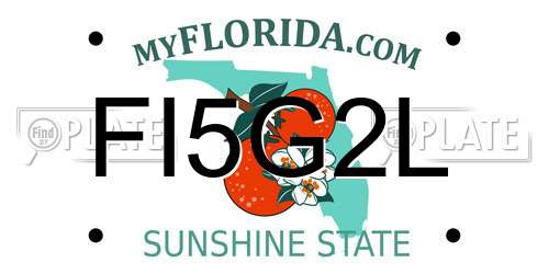 FI5G2L Florida License Plate
