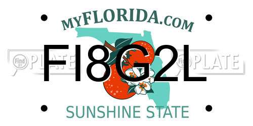 FI8G2L Florida License Plate