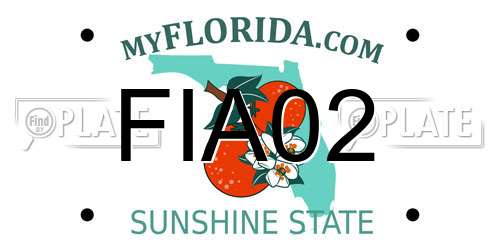 FIA02 Florida License Plate