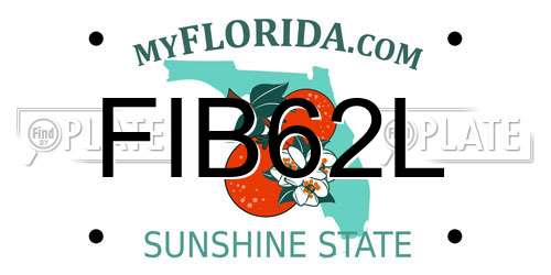 FIB62L Florida License Plate