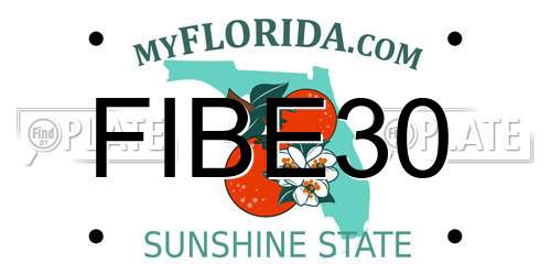 FIBE30 Florida License Plate