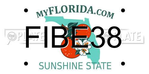 FIBE38 Florida License Plate