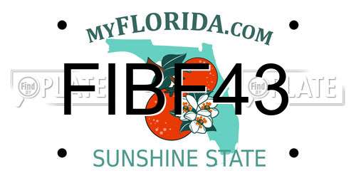 FIBF43 Florida License Plate
