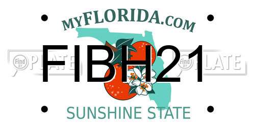 FIBH21 Florida License Plate