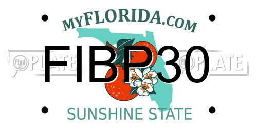 FIBP30 Florida License Plate