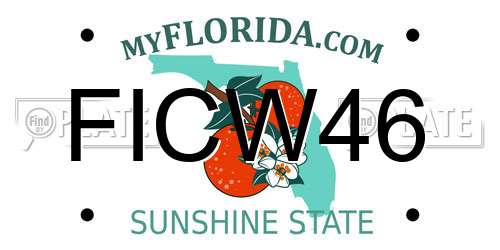 FICW46 Florida License Plate