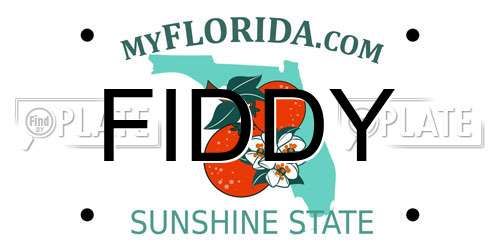 FIDDY Florida License Plate