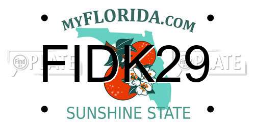FIDK29 Florida License Plate