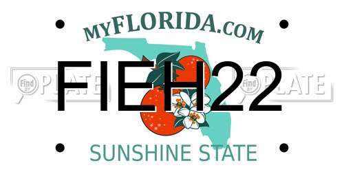 FIEH22 Florida License Plate