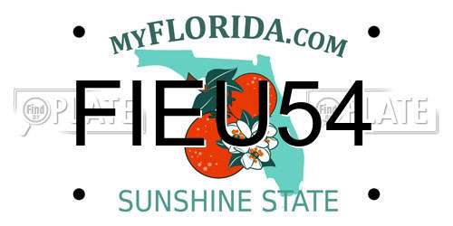 FIEU54 Florida License Plate