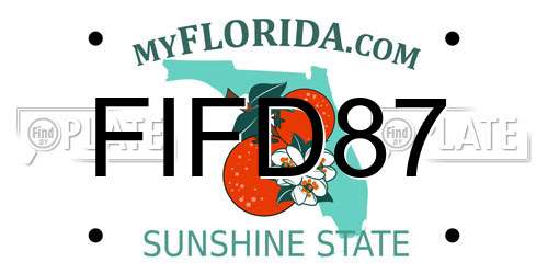FIFD87 Florida License Plate
