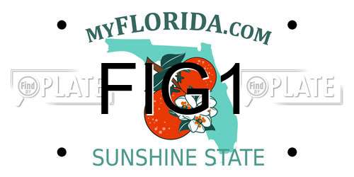 FIG1 Florida License Plate