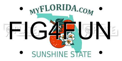 FIG4FUN Florida License Plate