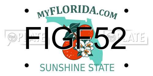 FIGF52 Florida License Plate