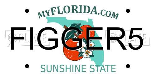 FIGGER5 Florida License Plate