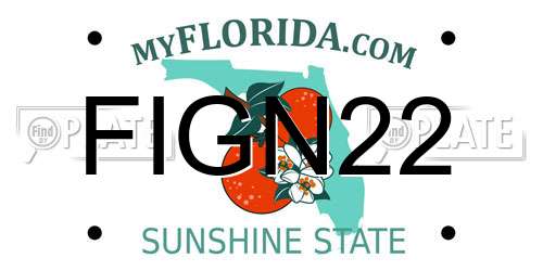 FIGN22 Florida License Plate