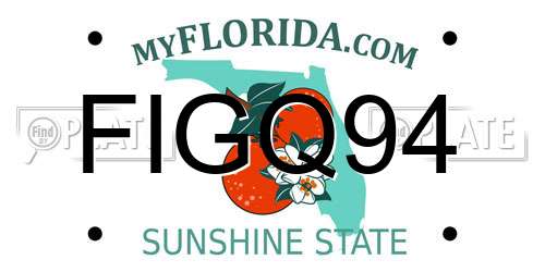 FIGQ94 Florida License Plate