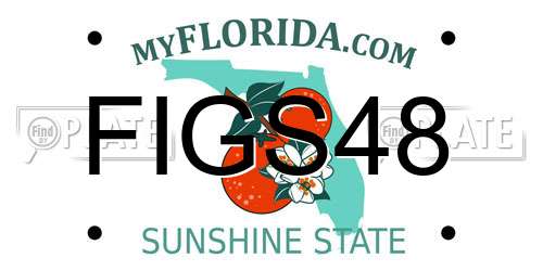 FIGS48 Florida License Plate