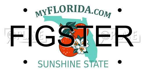 FIGSTER Florida License Plate