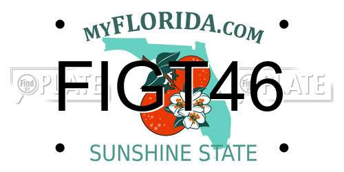 FIGT46 Florida License Plate