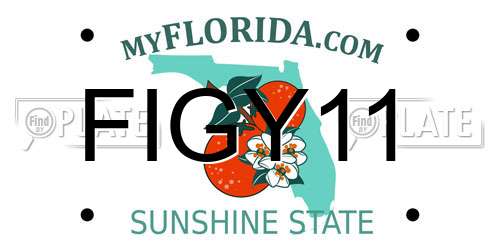 FIGY11 Florida License Plate