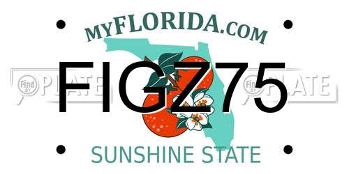 FIGZ75 Florida License Plate