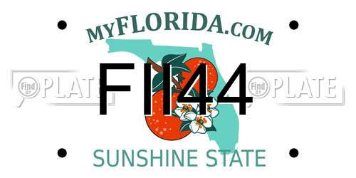 FII44 Florida License Plate