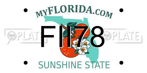 FII78 Florida License Plate