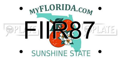 FIIR87 Florida License Plate