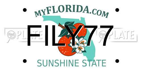 FILY77 Florida License Plate