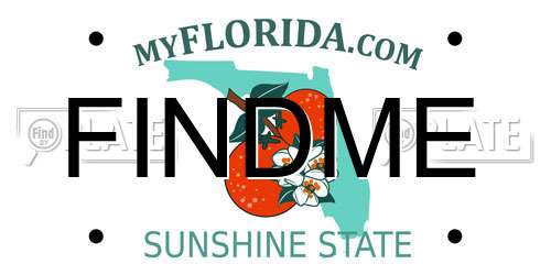 FINDME Florida License Plate