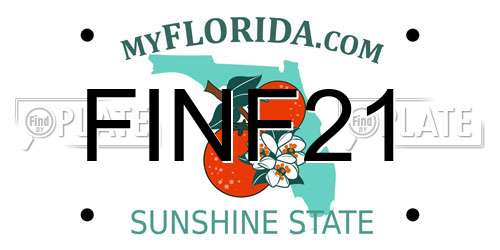 FINF21 Florida License Plate