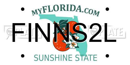 FINNS2L Florida License Plate