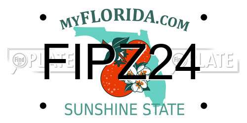 FIPZ24 Florida License Plate