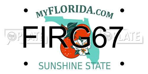 FIRG67 Florida License Plate