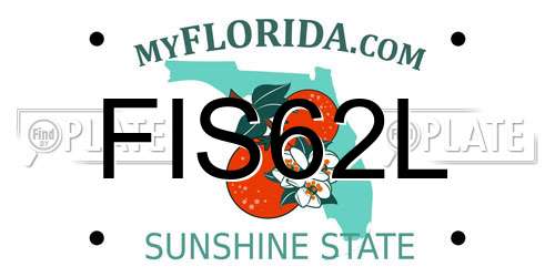 FIS62L Florida License Plate