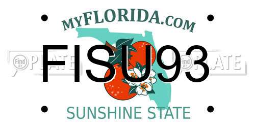 FISU93 Florida License Plate